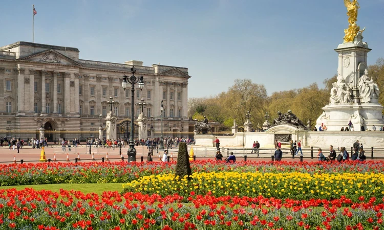 Buckingham Palace flower beds