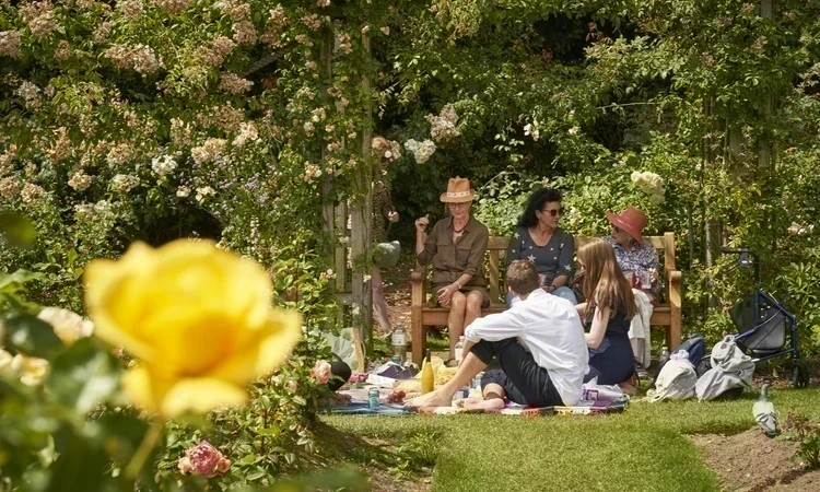 Family having a picnic in The Regent's Park