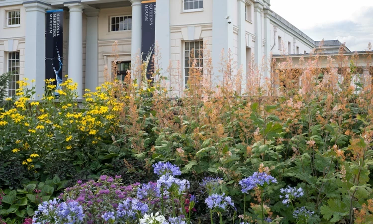 Herbaceous border