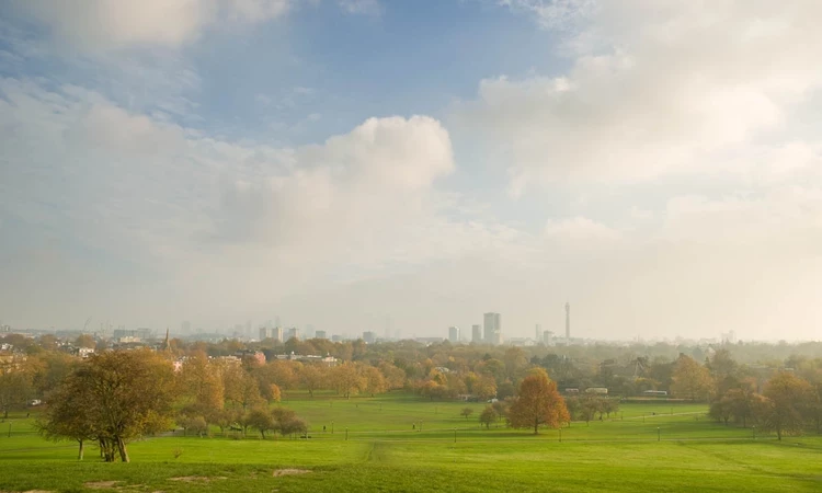 Primrose Hill