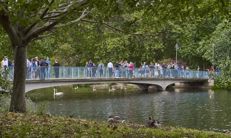 The Lake and the Blue Bridge