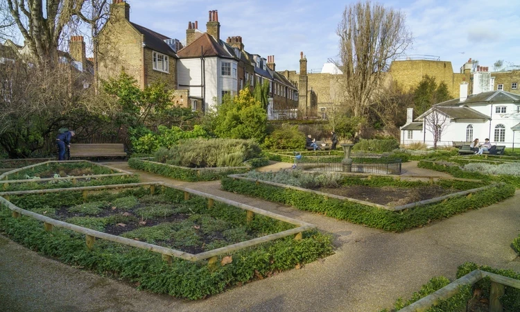 The herb garden