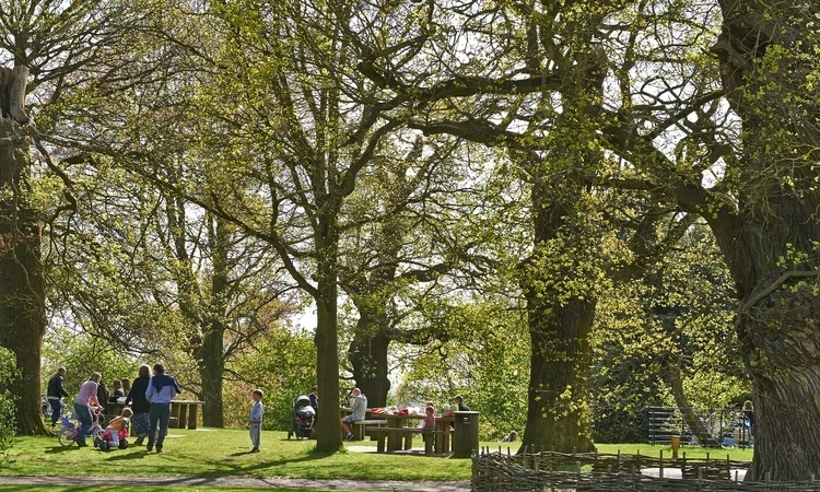 People relaxing in Richmond Park