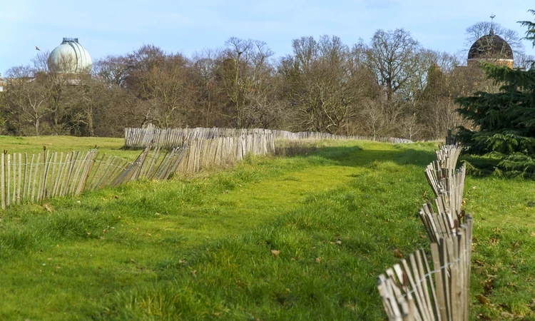 Anglo Saxon burial ground