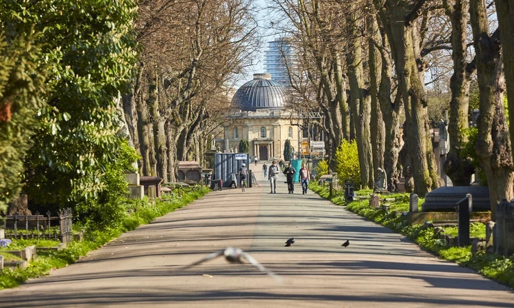 Brompton Cemetery Central Avenue