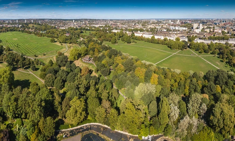 The Regent's Park from above