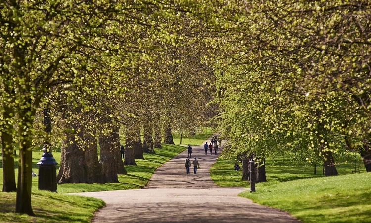 Broad walk in The Green Park