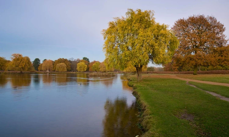 Heron Pond