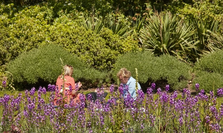 Two people sitting in the Hyde Park Rose Garden