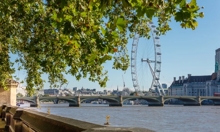 Iconic views of the Thames from Victoria Tower Gardens