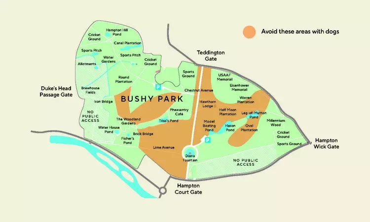 Map of areas to avoid in Bushy Park with a dog during the deer birthing season