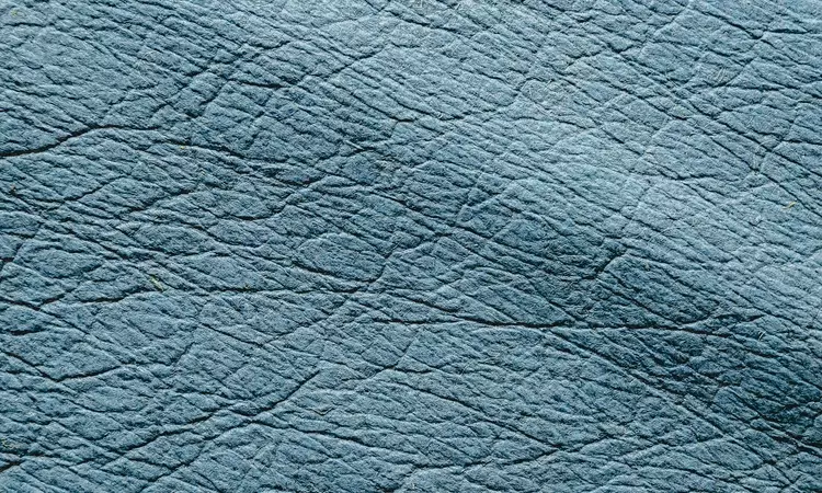Pineapple fabric, known as vegan leather