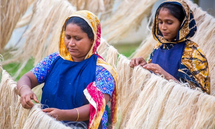 Women hanging pineapple fibres to dry