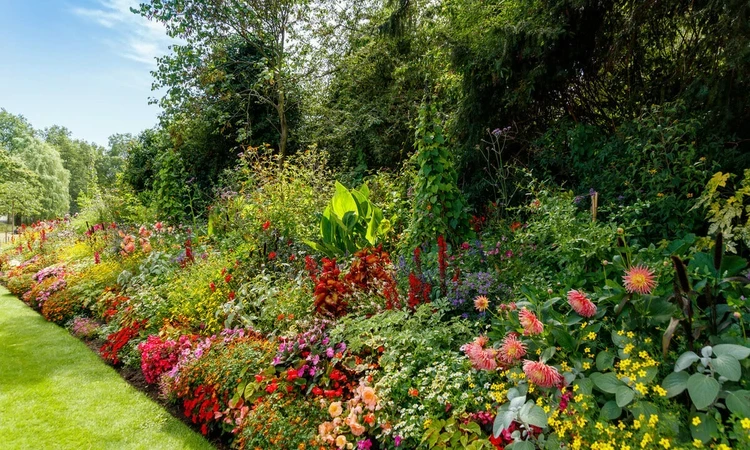 Summer bedding in St. James's Park