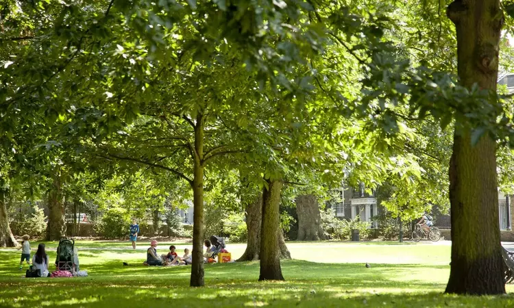 People sitting under trees in Greenwich Park