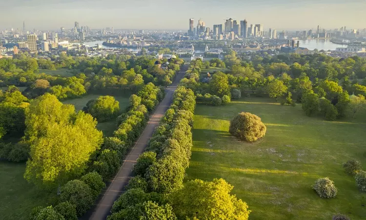 Drone view of Blackheath Avenue Greenwich Park