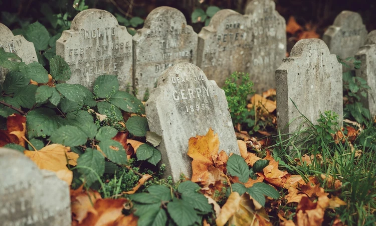Hyde Park pet cemetery