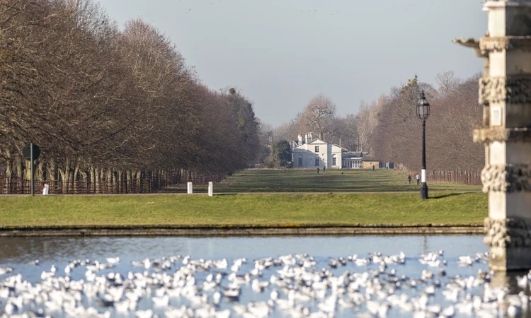 White Lodge viewed from the Diana fountain