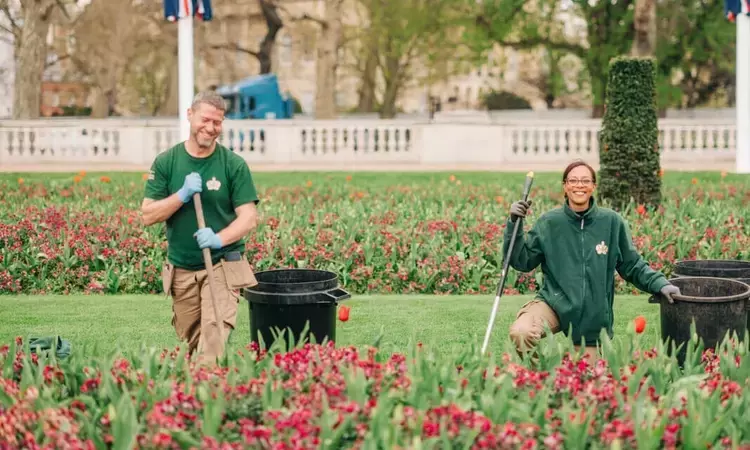 Royal Parks staff working on the Buckingham Palace flower beds