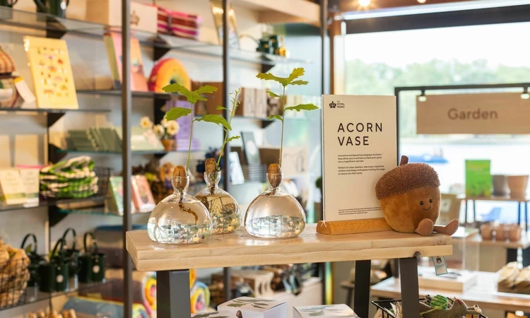 Acorn vase