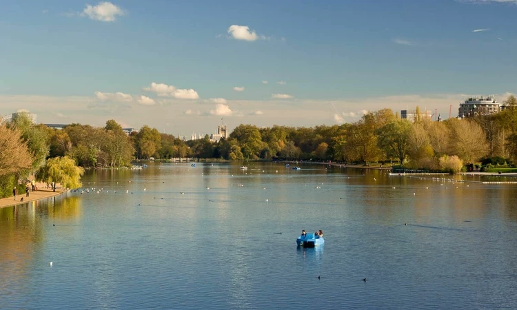 The two freshwater inlets in The Round Pond are affectionately known as 'mushrooms'