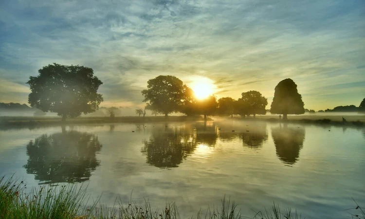 Lake in Bushy Park | Image credit: Astrid Tontson