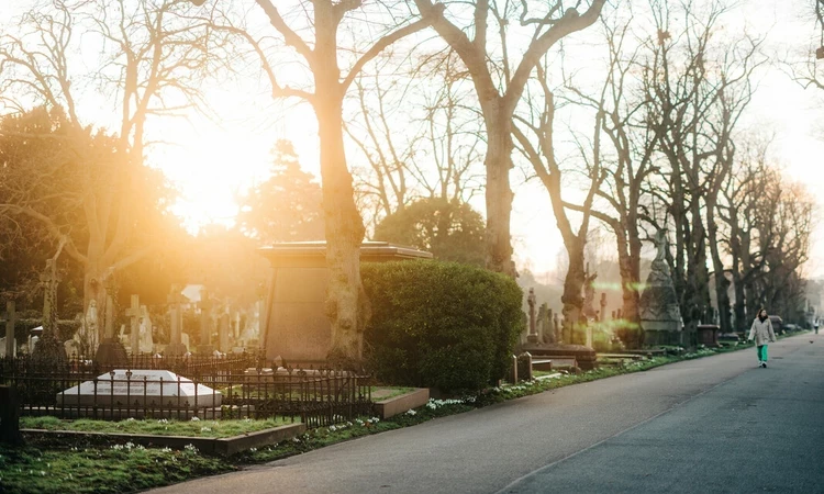 Early morning in Brompton Cemetery