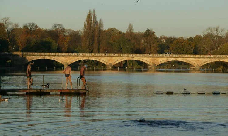 Serpentine Lido Swimmers