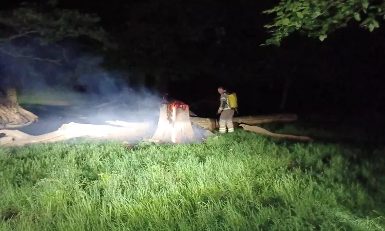 A photo of a fireman putting out a fire caused by a disposable BBQ left on a tree stump in Richmond Park at night time. 