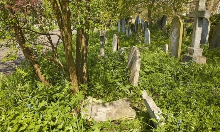 Henrietta Dredge's grave