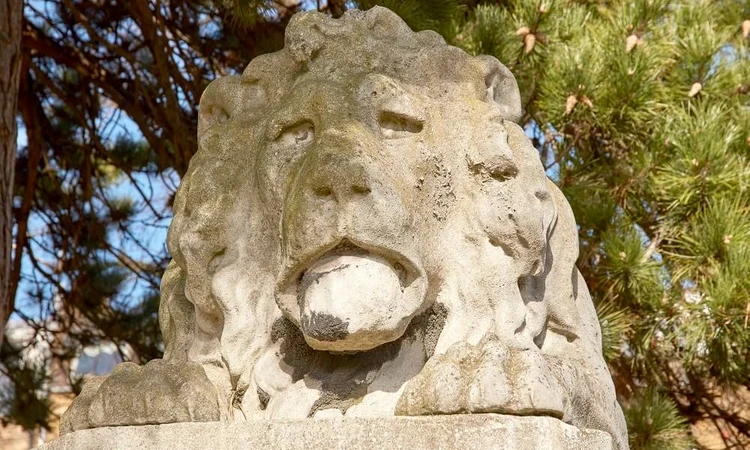 John Gentleman Jackson lion detail