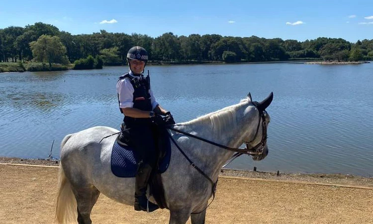 Police officer on horseback