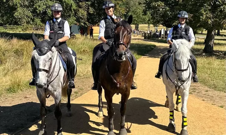 Three police officers on horses