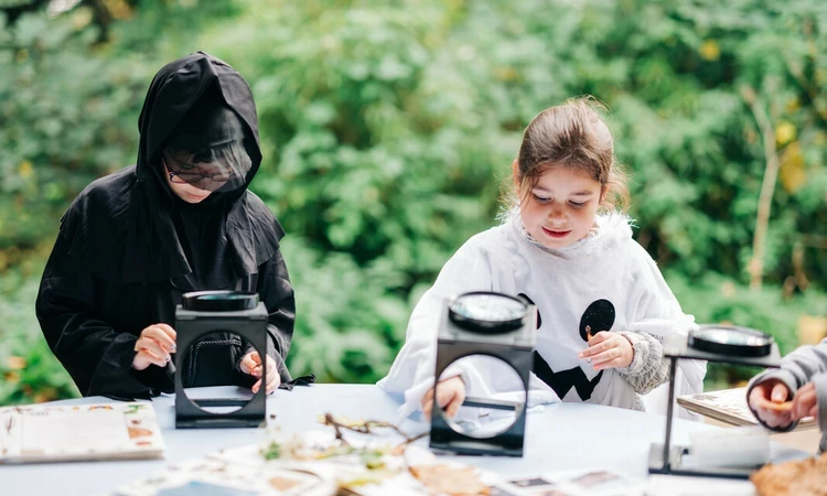 Children bug hunting in Halloween themed activities