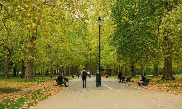 Hyde Park in autumn