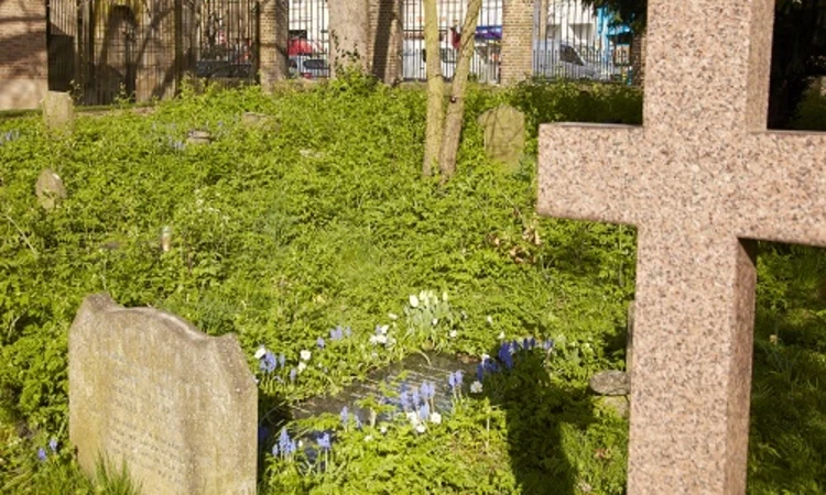  Jack Whitley grave