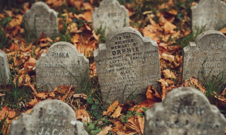 Hyde Park Pet Cemetery