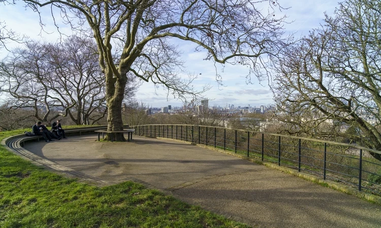 A photo of the seating area at One Tree Hill