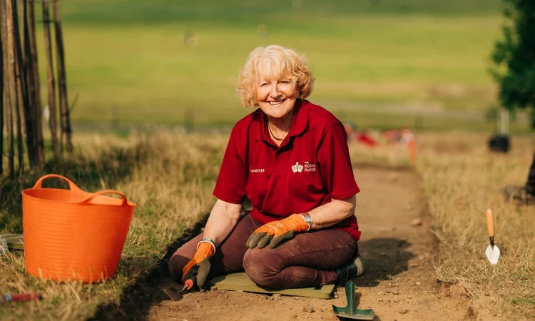 Archaeology Volunteer