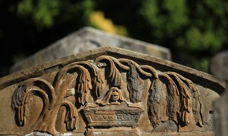 This weeping willow, carved on one of the cemetery’s headstones,  is a symbol of mourning and loss.