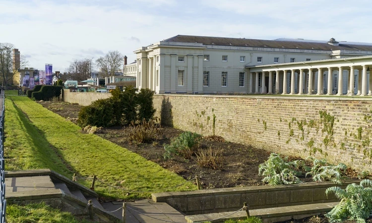 The Herbaceous border