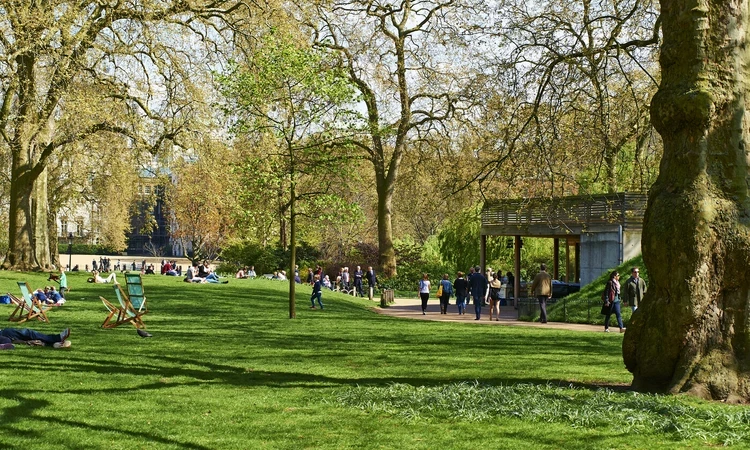 Deck chairs in The Royal Parks