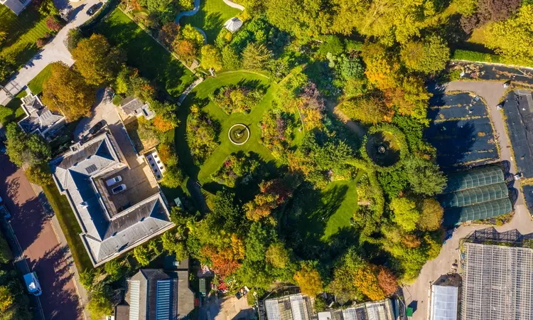 Aerial view of St. John's Lodge Garden