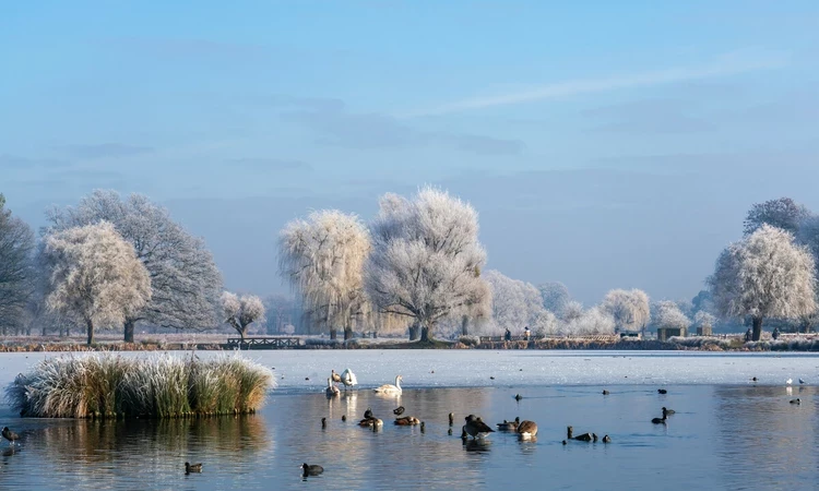 Frosty scene of Longford River in winter