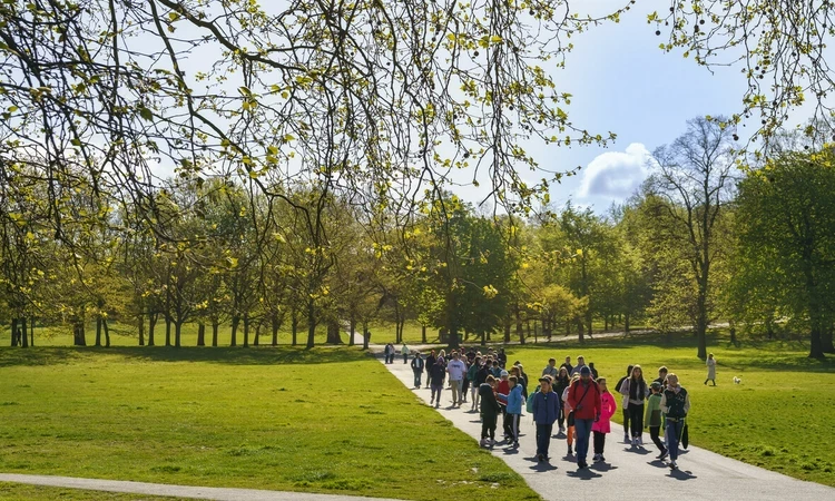 People walking on a path