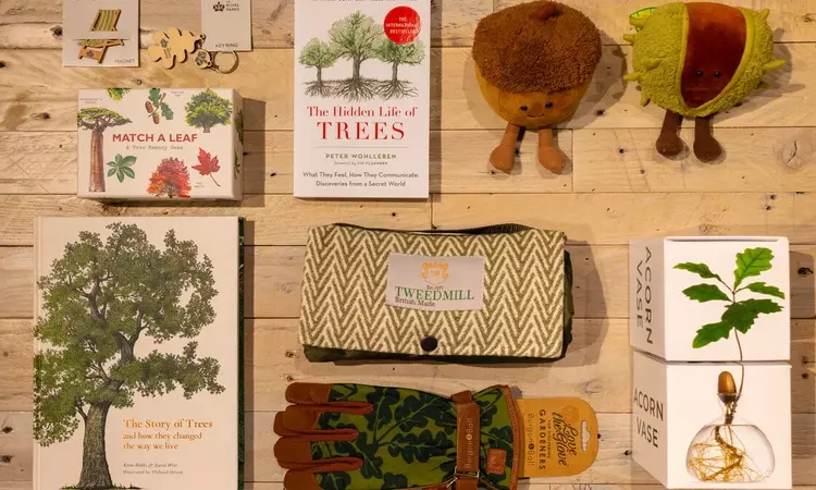 A flat lay of tree-related products including books, soft toys, games and an acorn vase on display against a wooden backdrop. 