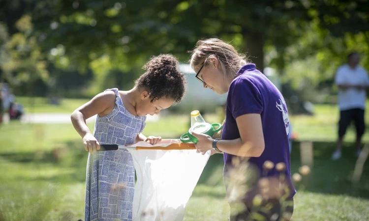 bug hunting at Hyde Park discovery days