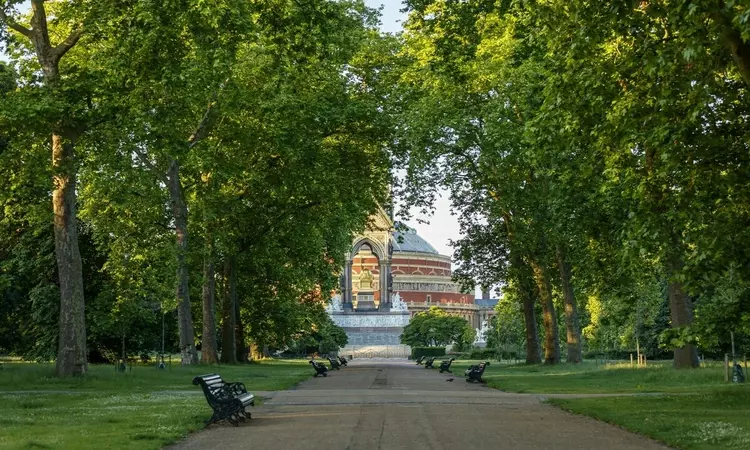 Trees in Kensington Gardens