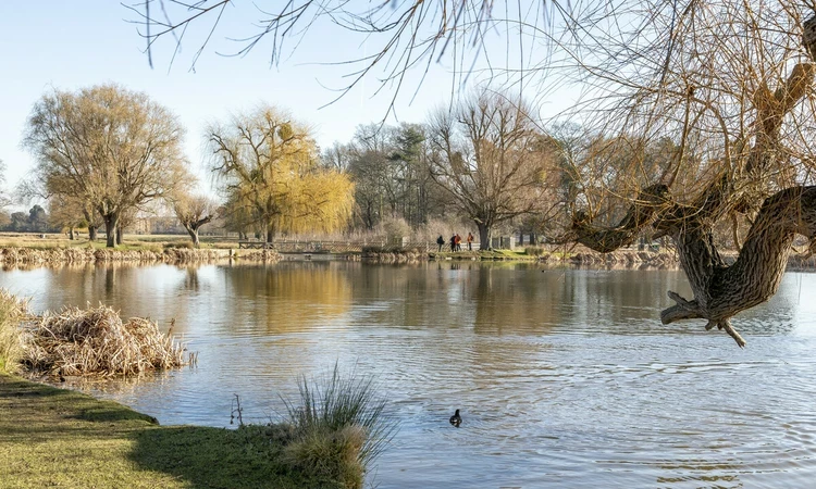Leg of Mutton Pond in winter