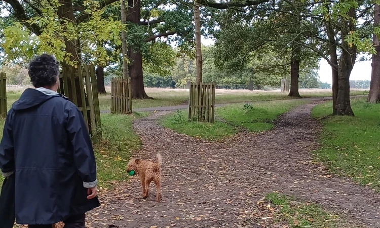 Woman walking her dog in the woods